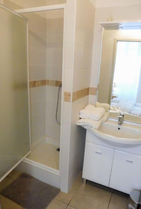 Appartement 4 Voyageurs Avec Terrasse - Wifi Carcassonne Eksteriør billede